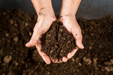 Compost Science: What’s Happening in Your Compost Bin? Image
